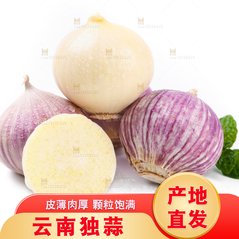 白底上摆放着紫皮独蒜