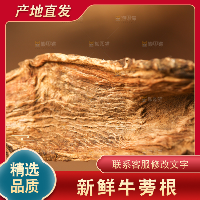 手里拿着牛蒡根