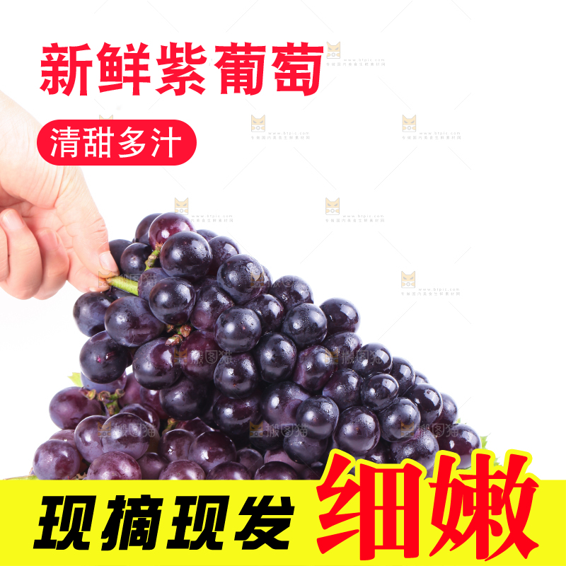 手拿东北巨峰葡萄
