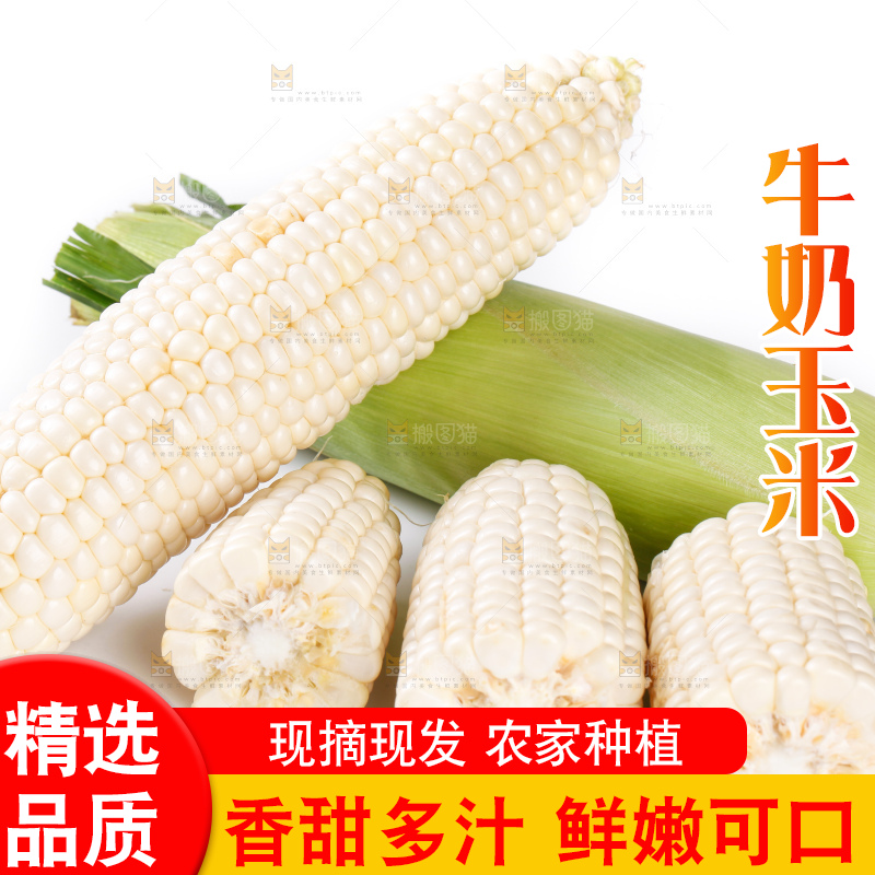 白底上放着牛奶玉米