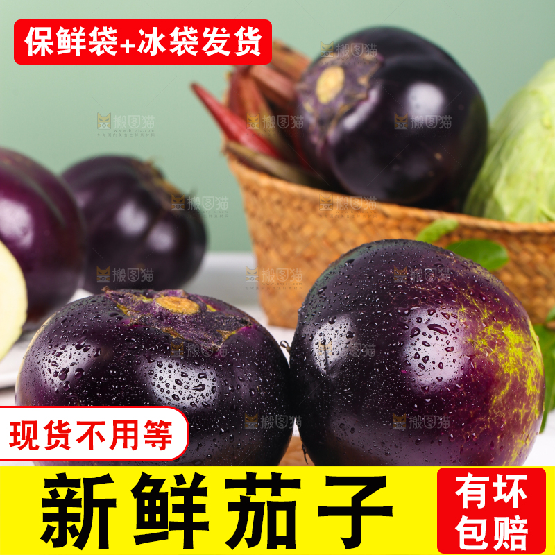 木板上的紫圆茄子