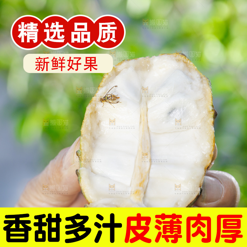 手里拿着释迦果