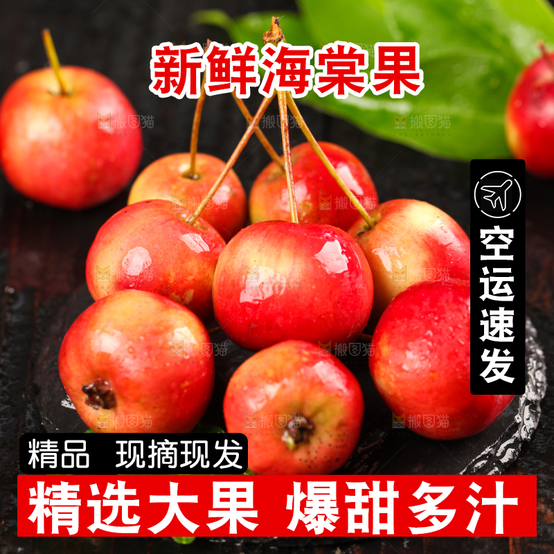 黑石板上的海棠果