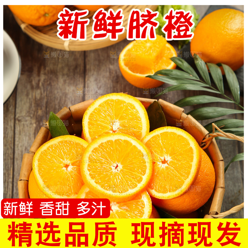 篮子里放着甜橙