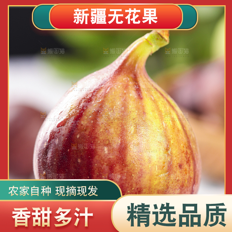 手拿紫皮无花果