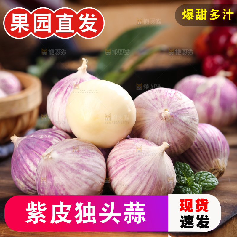 木底上摆放着紫皮独蒜