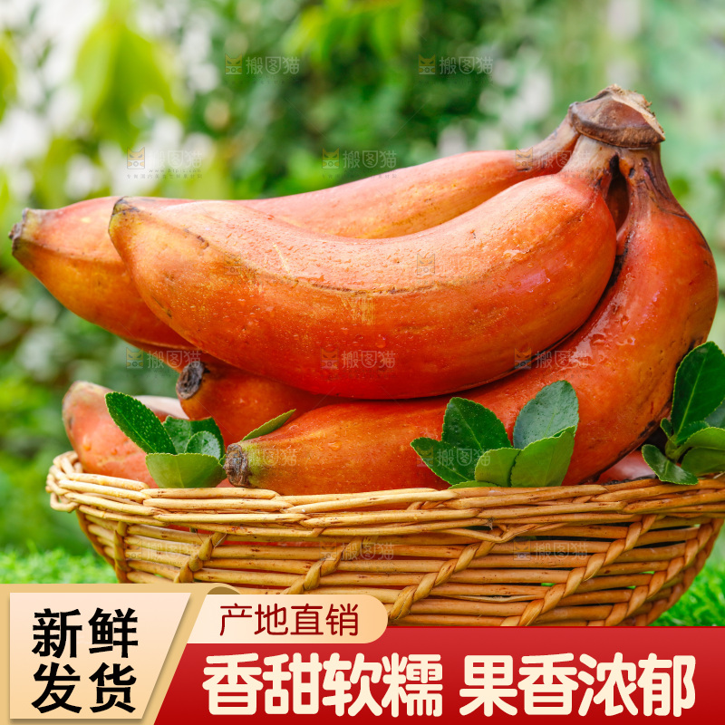 草地上的红皮香蕉