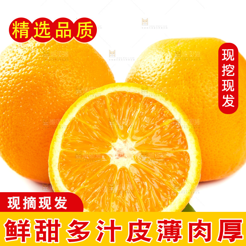 白底上摆放着橙子