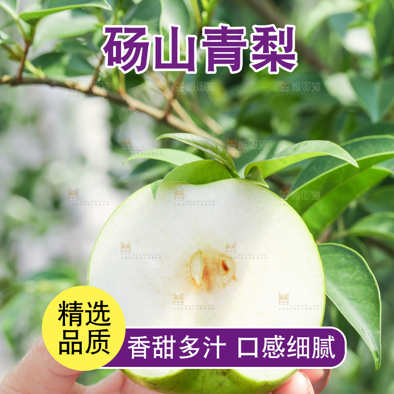 手里拿着切开的青皮皇冠梨