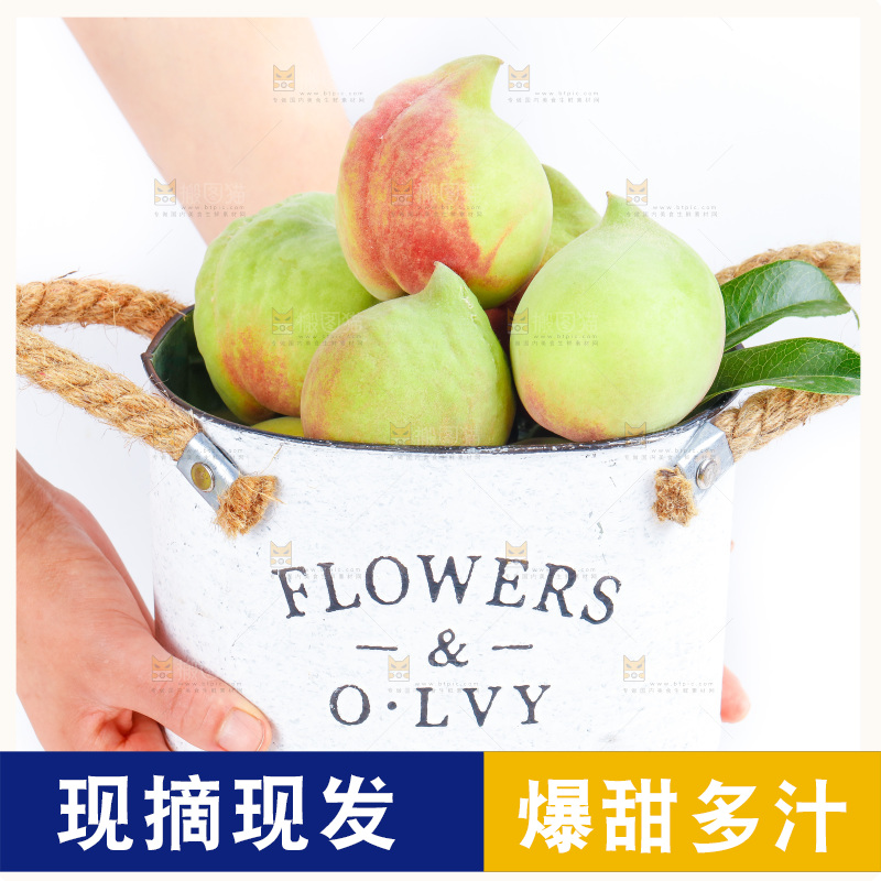 手拿着的鹰嘴桃