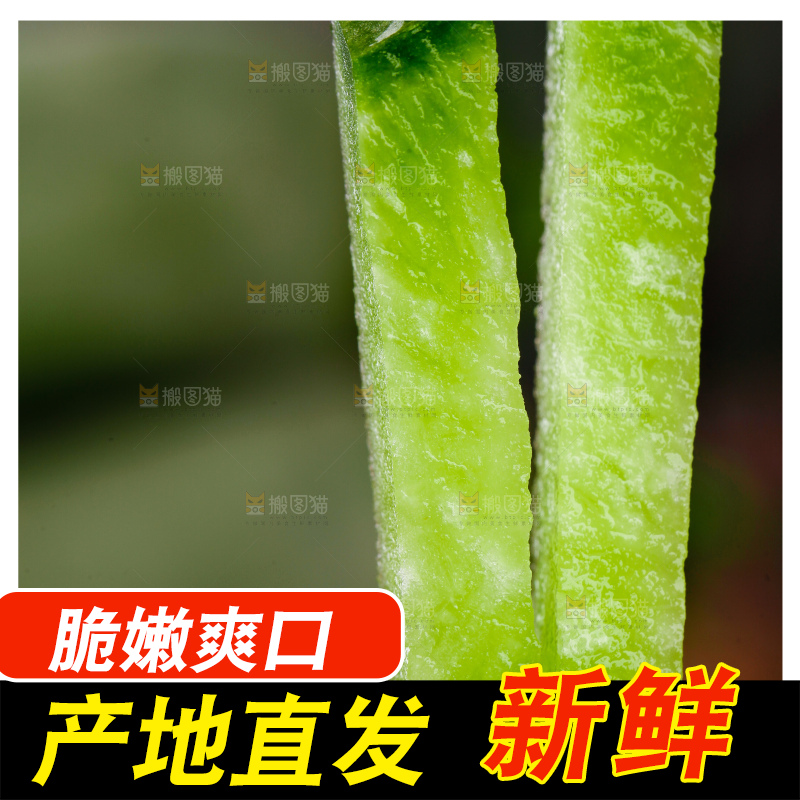 手里拿着青萝卜