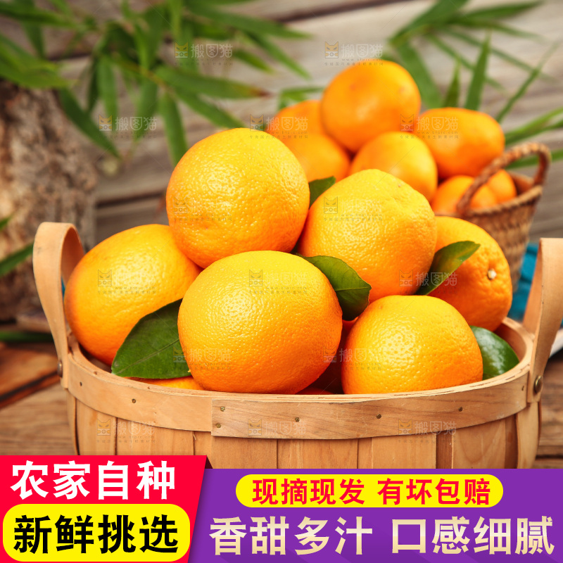 篮子里放着甜橙