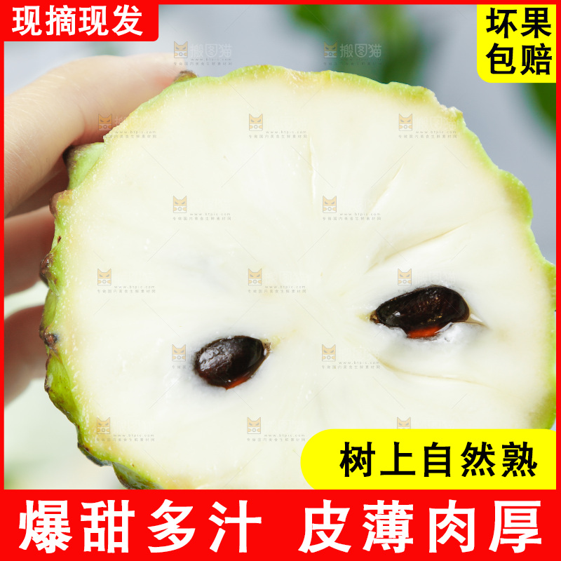 手里拿着释迦果