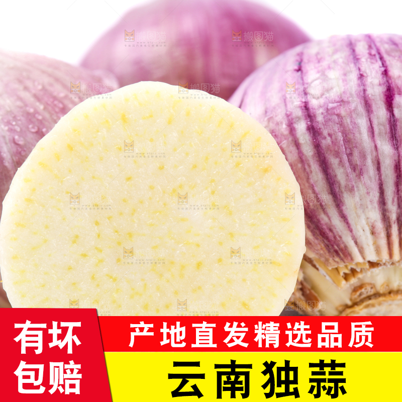 白底上摆放着紫皮独蒜