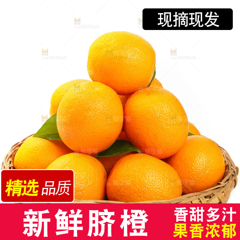 篮子里放着甜橙