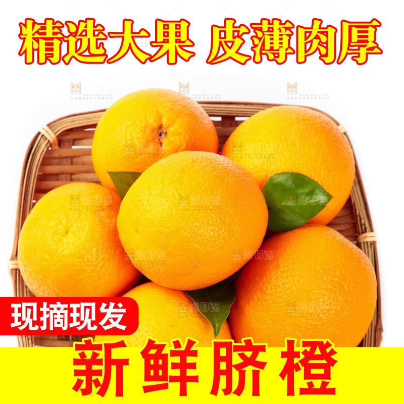 篮子里放着甜橙