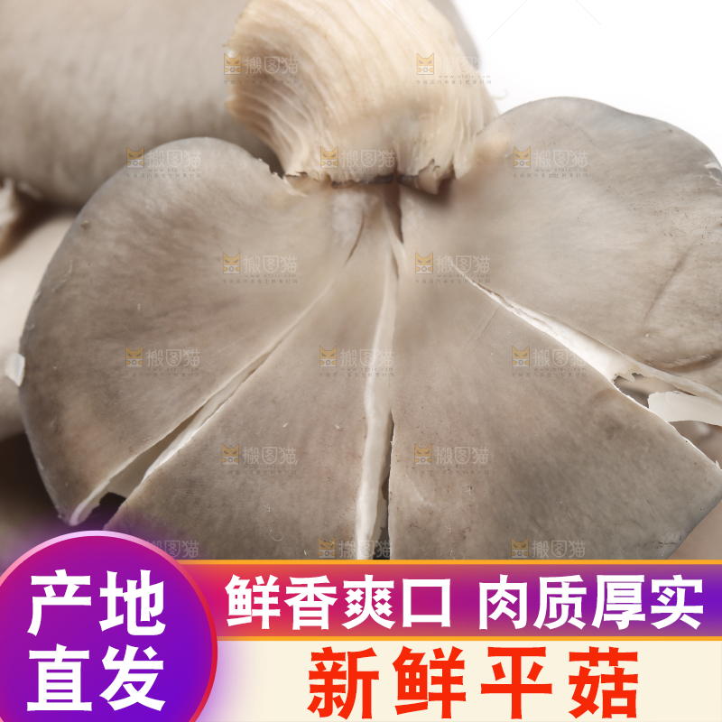 白底上放着平菇