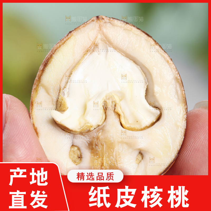 手拿去皮新鲜湿核桃
