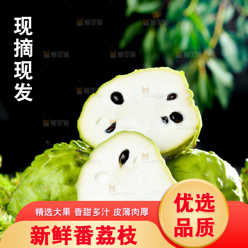 绿草地上摆放着释迦果