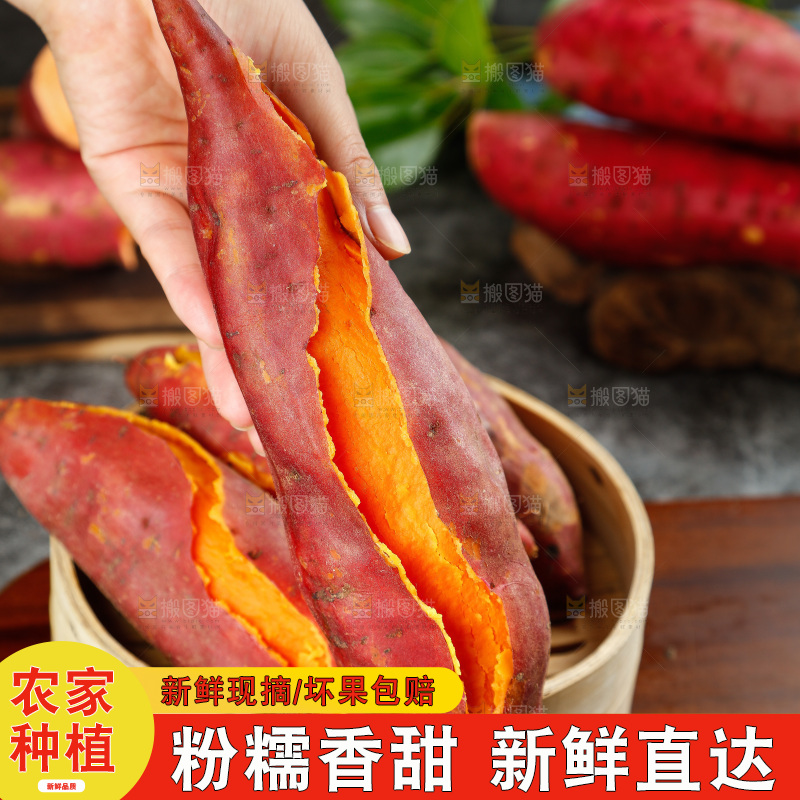 手里拿着红蜜薯
