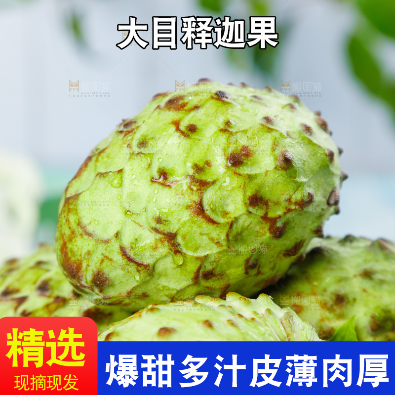 格子底上摆放着释迦果