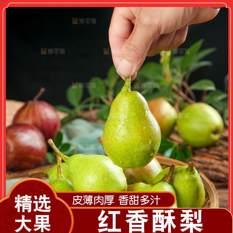木底上的早酥梨
