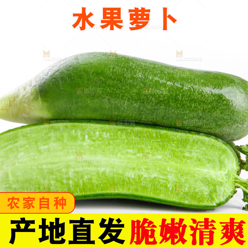 白底上摆放着绿心萝卜