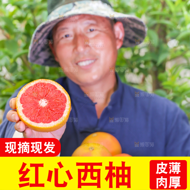 农民手里拿着切开的南非红心西柚