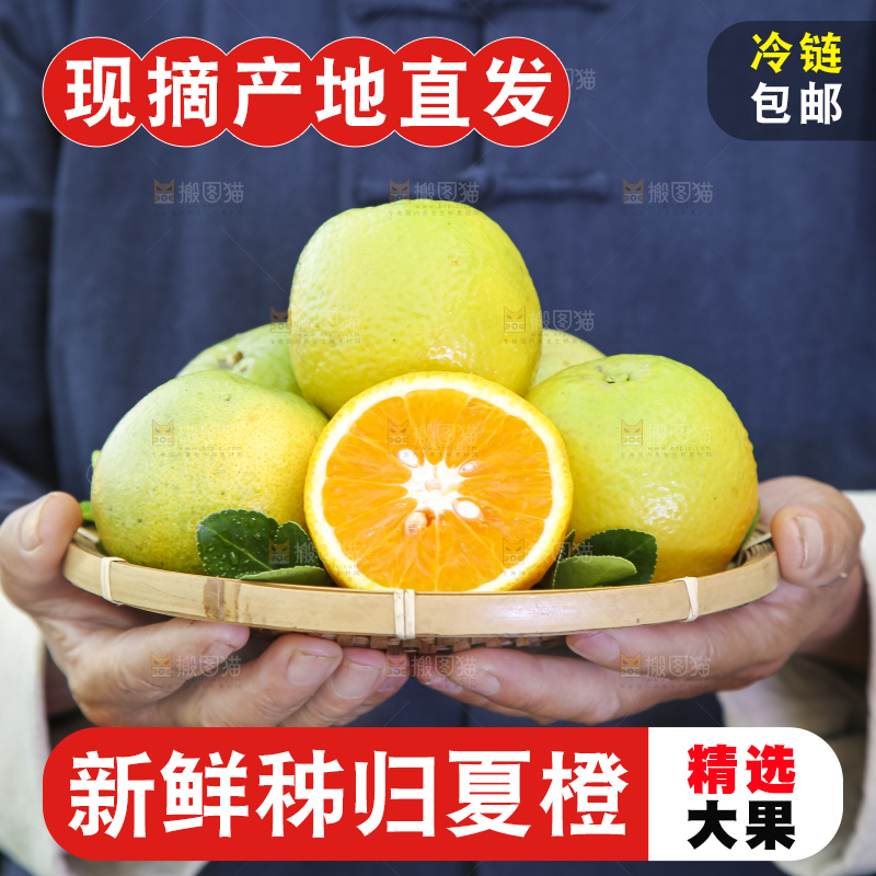 上手拿一筐夏橙