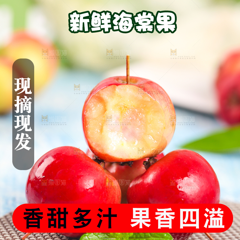 浅底上的东北海棠果