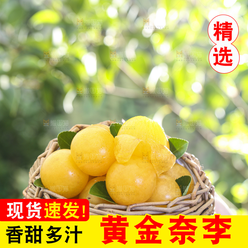 手拿一筐黄金奈李