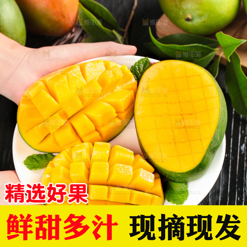 凯特芒主图