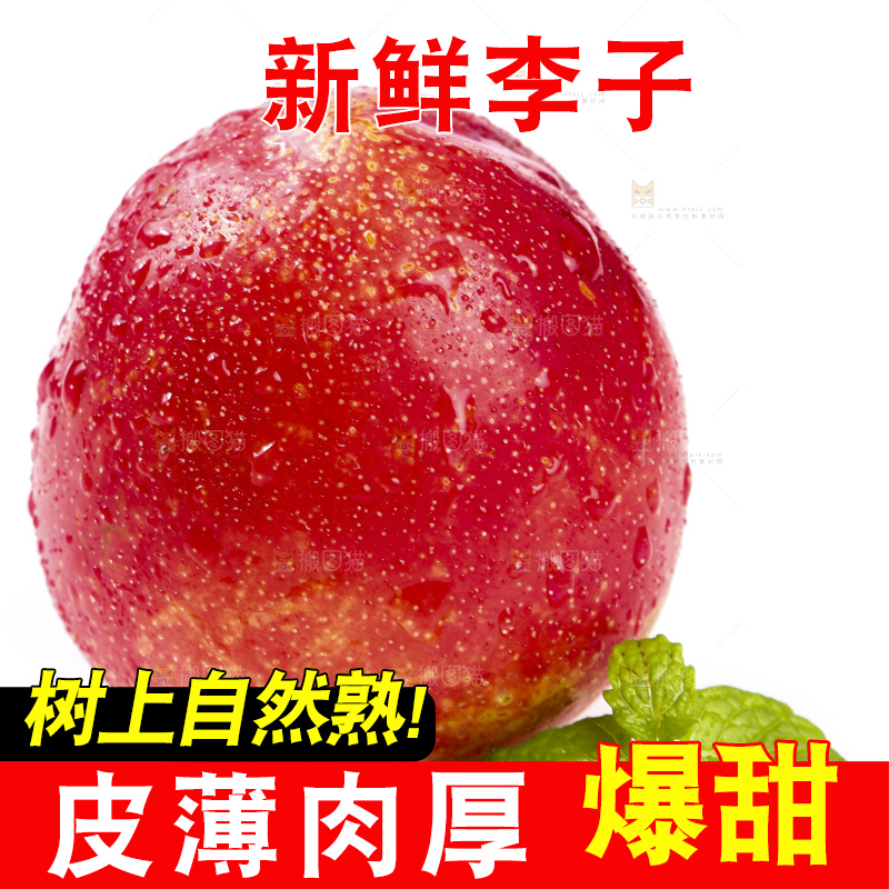 白底上的智利珍珠李