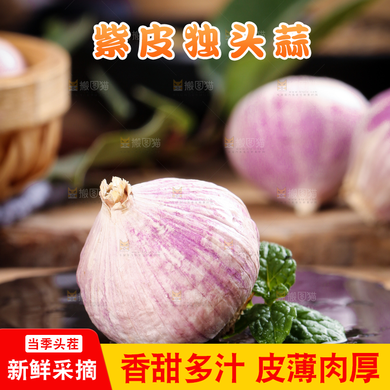 木底上摆放着紫皮独蒜