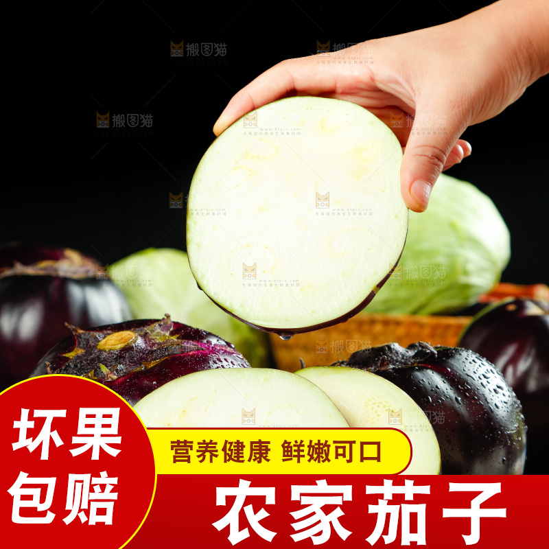 手拿切开的紫圆茄子