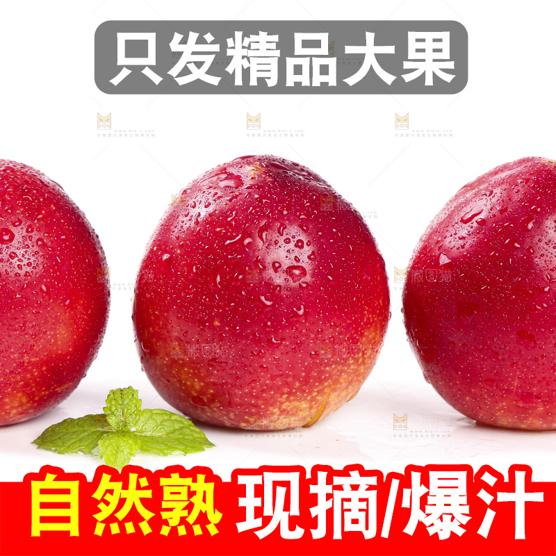 白底上的珍珠李