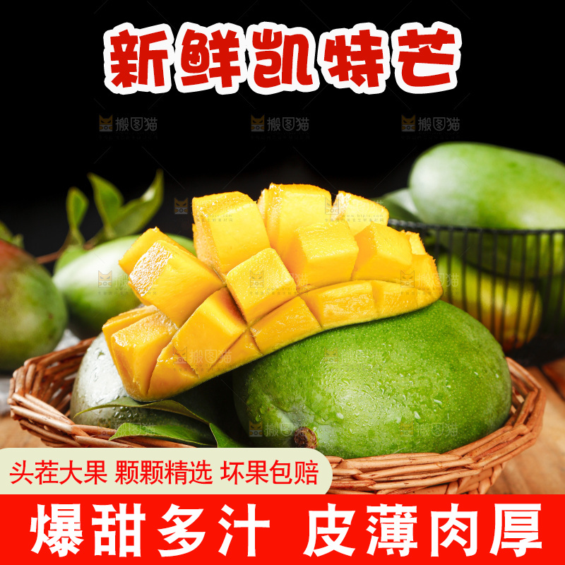 凯特芒主图