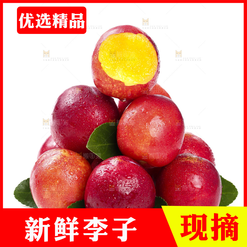白底上的智利珍珠李