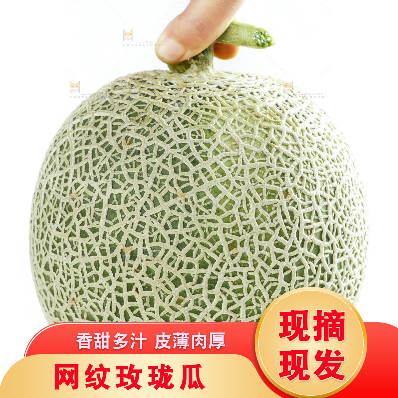手拿玫珑瓜
