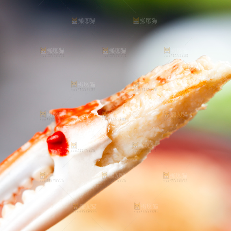 深底上的梭子蟹钳