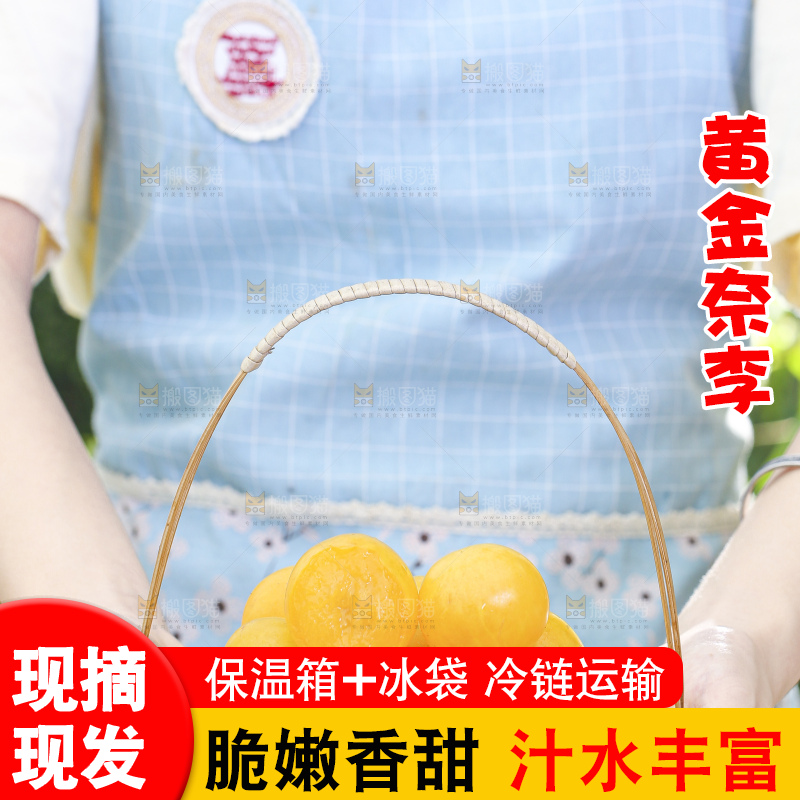 手拿一篮九峰山黄金奈李