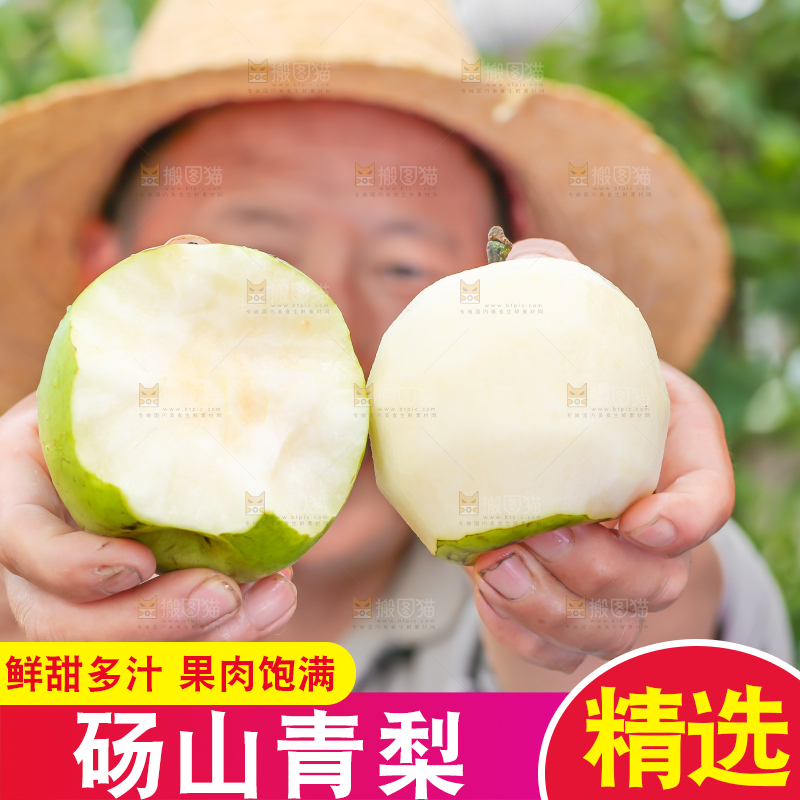 农民手里拿着青皮皇冠梨
