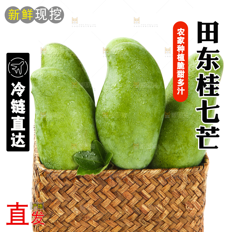 白底上放着一盘田东桂七芒
