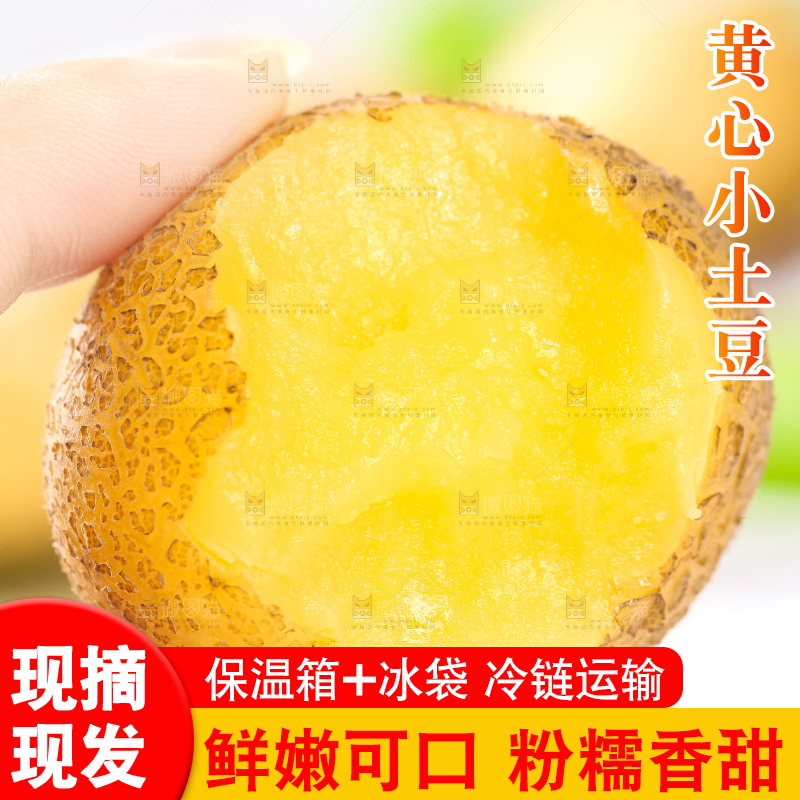 手拿切开的熟土豆