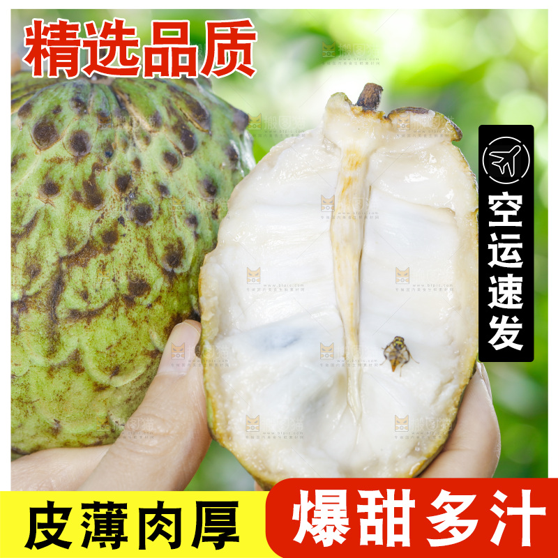 手里拿着释迦果