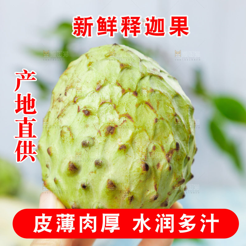 手里拿着释迦果