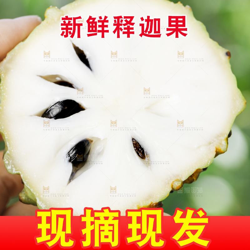 手里拿着释迦果