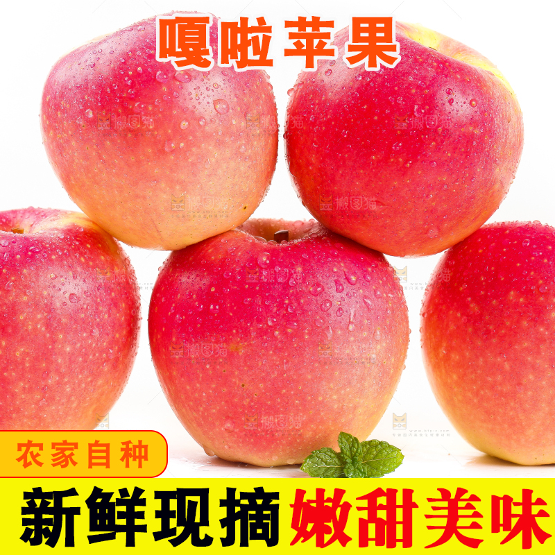 白底上的红嘎啦苹果