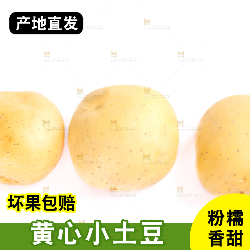 白底上的小土豆