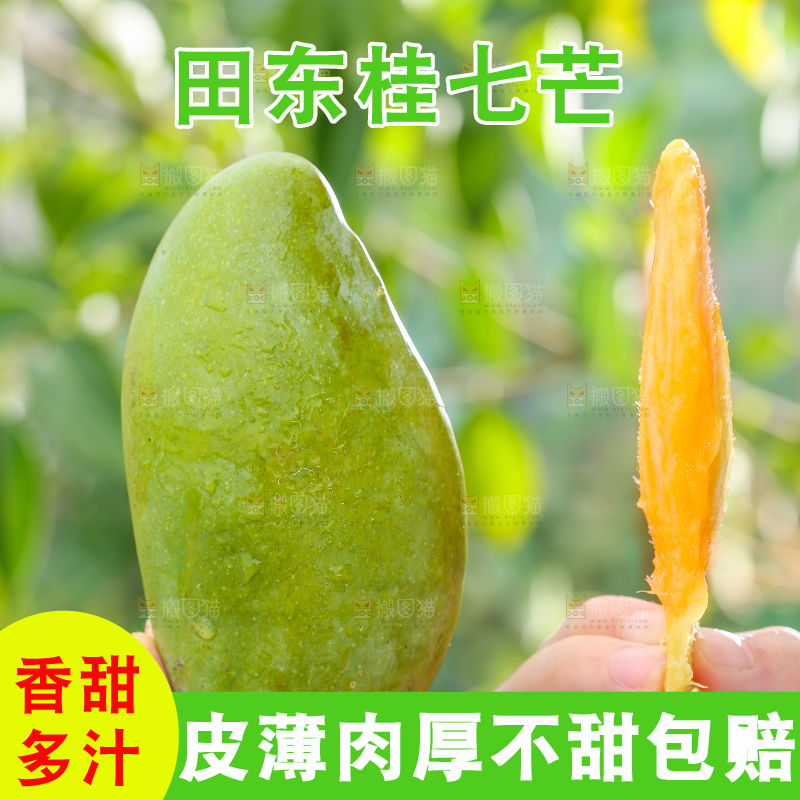 手拿桂七芒果核